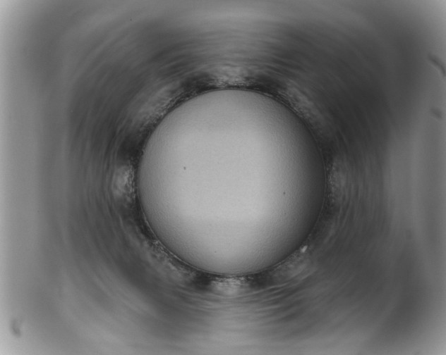 X0000101970079200807251220