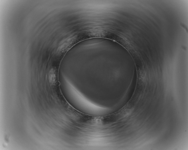 X0000101970080200807251220