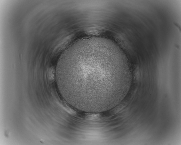 X0000101970081200807251220