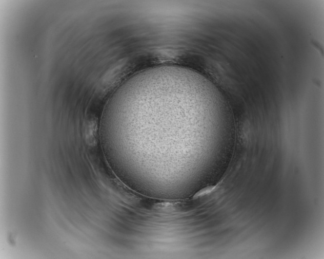 X0000101970082200807251220