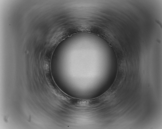 X0000101970084200807251220