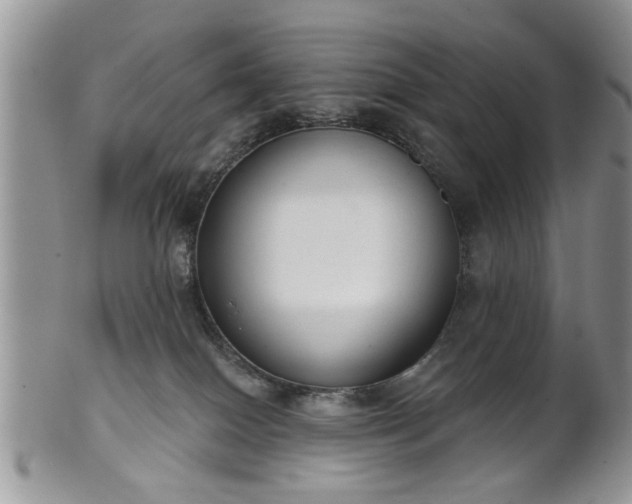X0000101970086200807251220