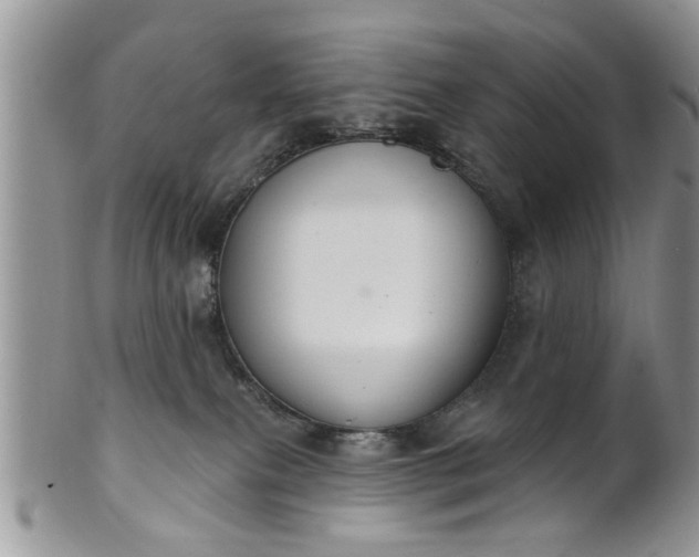 X0000101970087200807251220