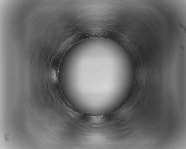 X0000101970089200807251220