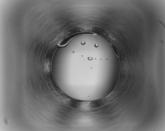 X0000101970090200807251220
