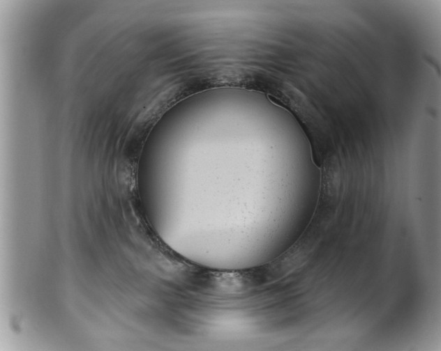 X0000101970091200807251220