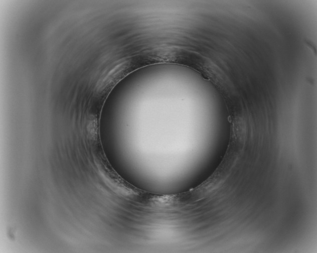 X0000101970092200807251220