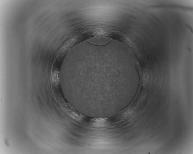 X0000101970093200807251220