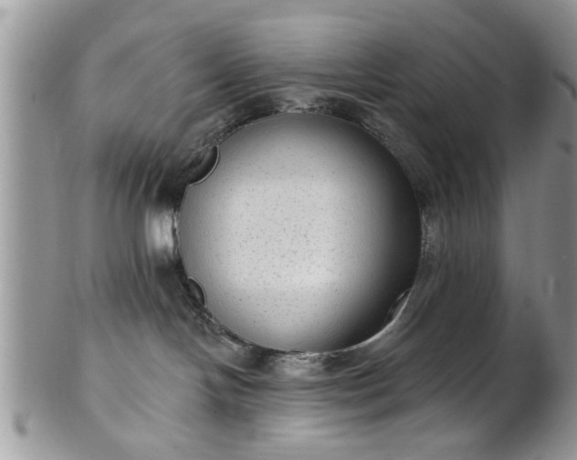 X0000101970094200807251220