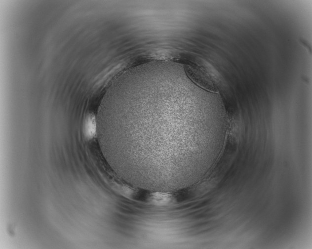 X0000101970095200807251221