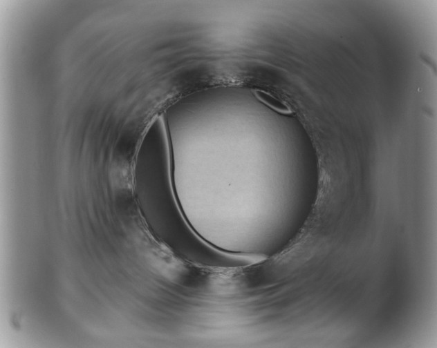 X0000101970096200807251221