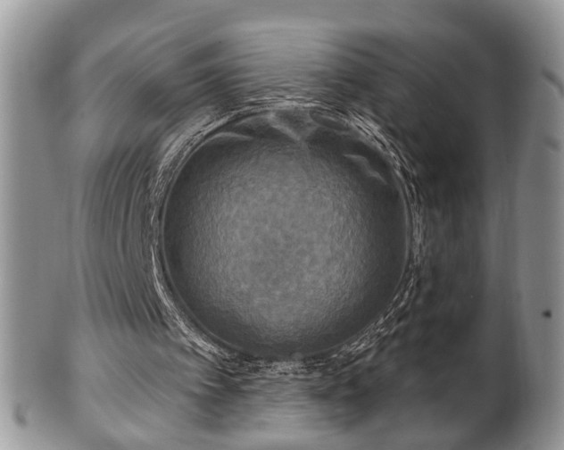 X0000101970097200807251220