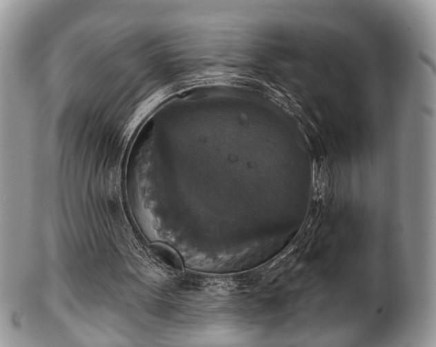 X0000101970099200807251220