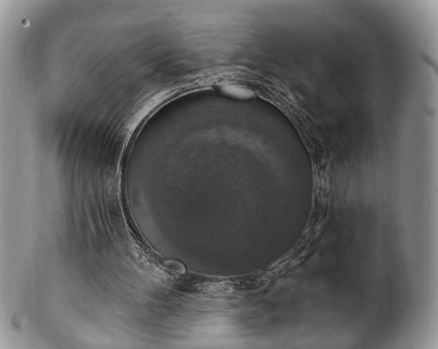 X0000101970100200807251220