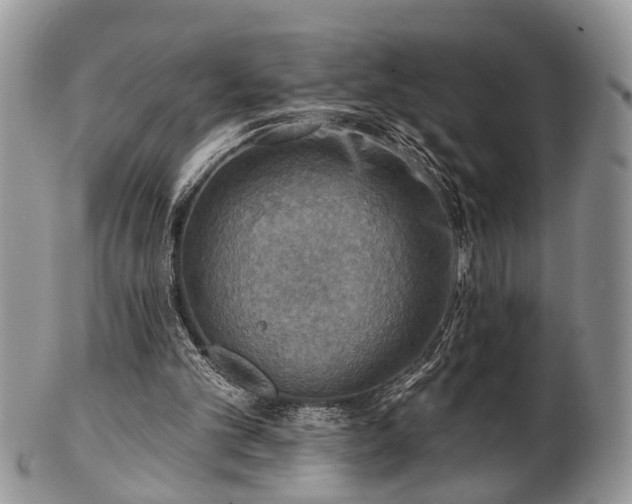 X0000101970101200807251220
