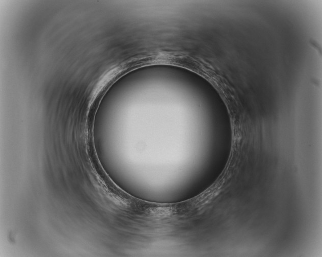 X0000101970102200807251220