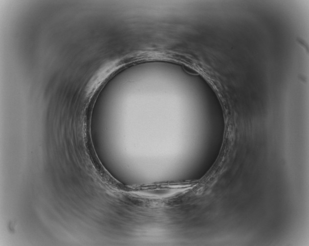 X0000101970103200807251220