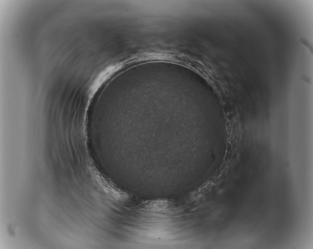 X0000101970104200807251220