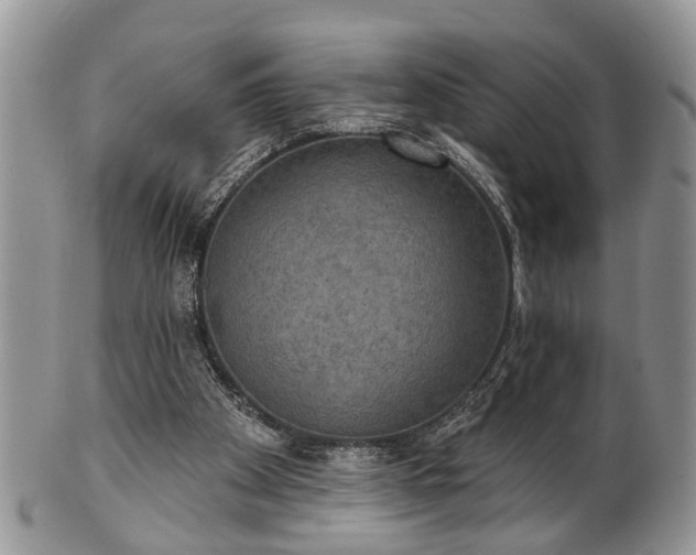 X0000101970105200807251220