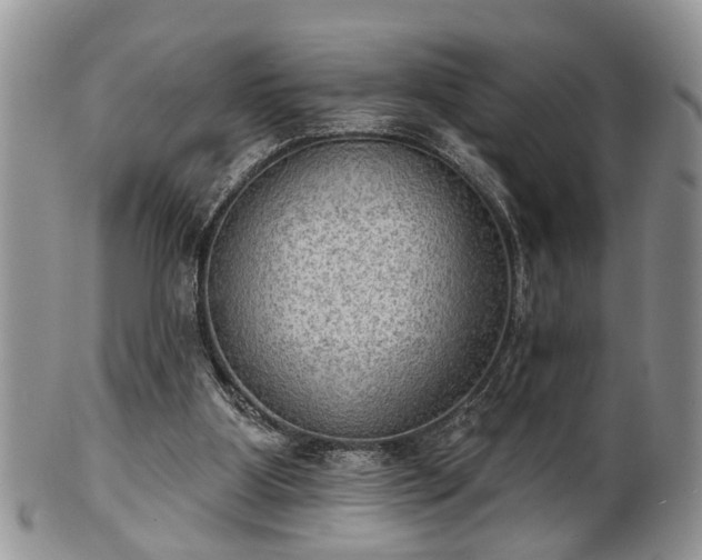 X0000101970107200807251220