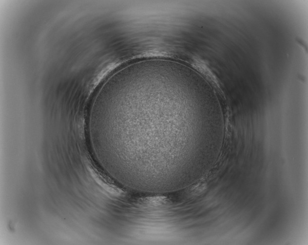 X0000101970108200807251220