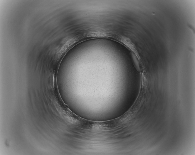 X0000101970109200807251220