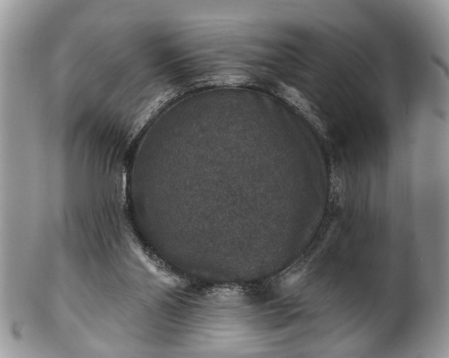 X0000101970110200807251220