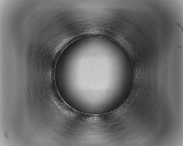 X0000101970112200807251220
