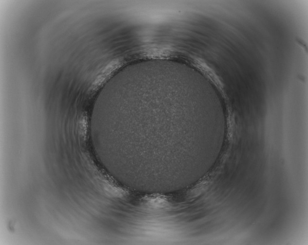 X0000101970113200807251220