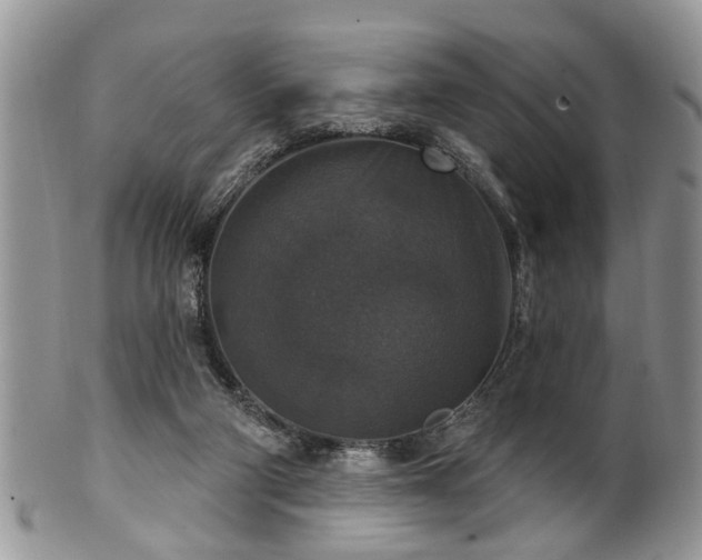 X0000101970114200807251220