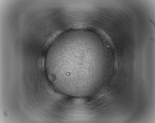 X0000101970115200807251220