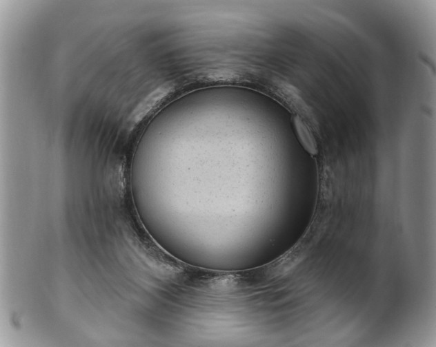 X0000101970116200807251220