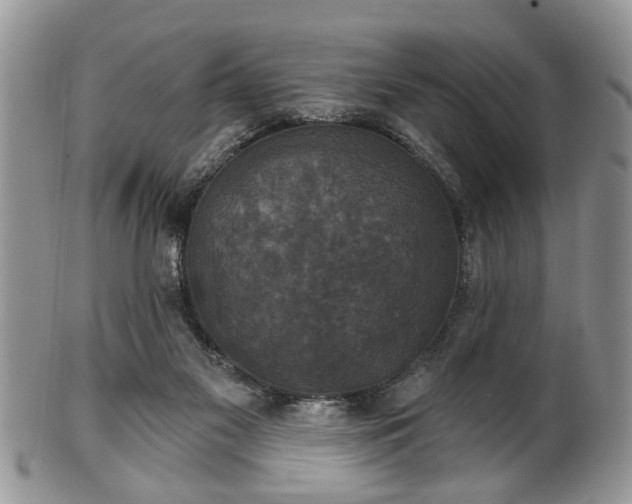 X0000101970117200807251220