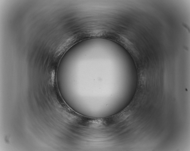 X0000101970118200807251220