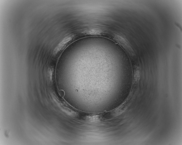 X0000101970120200807251220