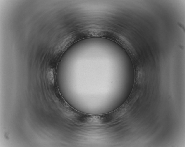 X0000101970121200807251220