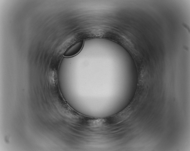 X0000101970122200807251220