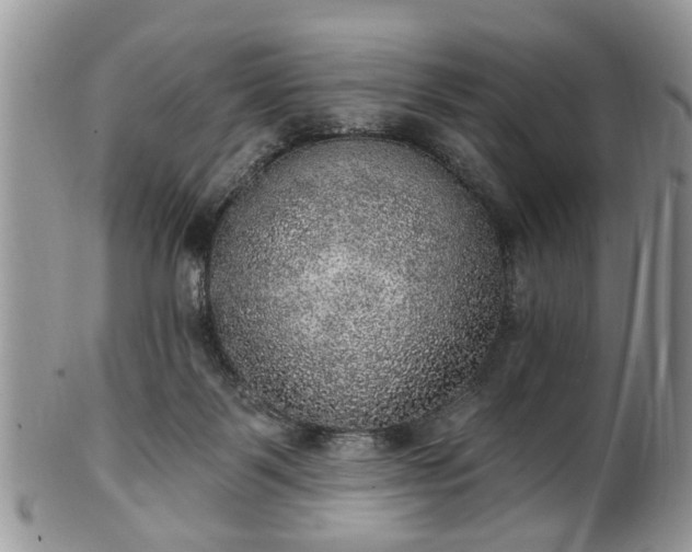 X0000101970123200807251219