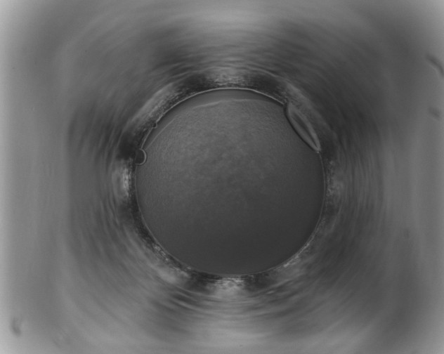 X0000101970124200807251219