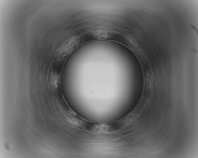 X0000101970125200807251219