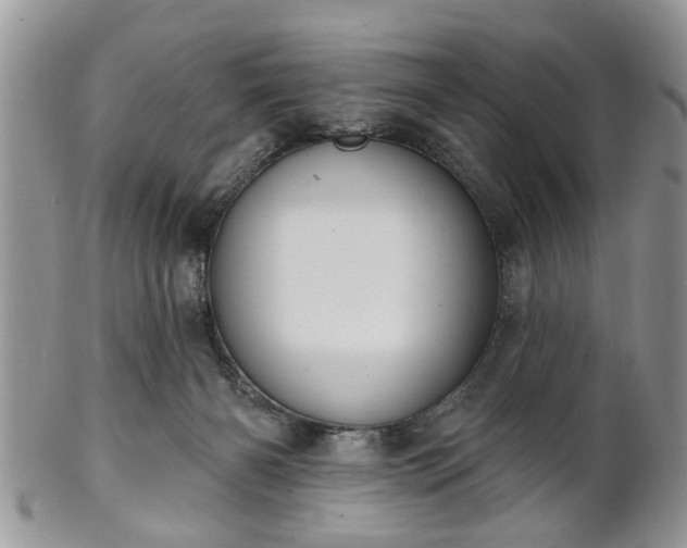 X0000101970126200807251219