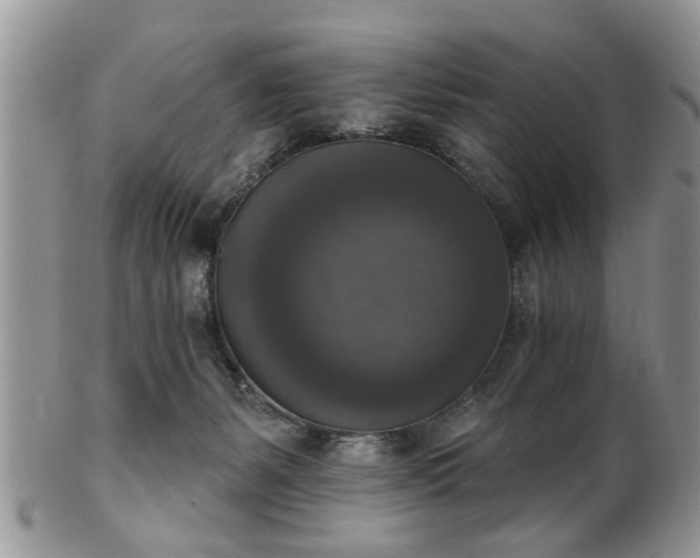X0000101970127200807251219