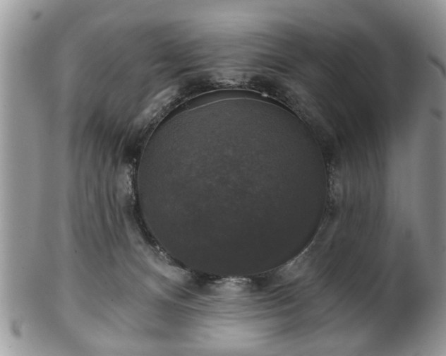 X0000101970128200807251219