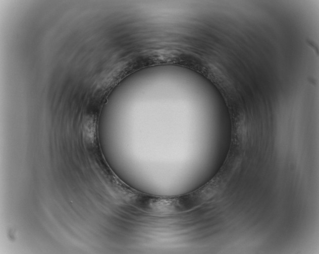 X0000101970129200807251219