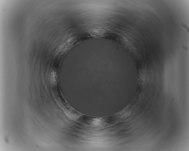 X0000101970130200807251219