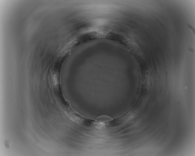 X0000101970131200807251219