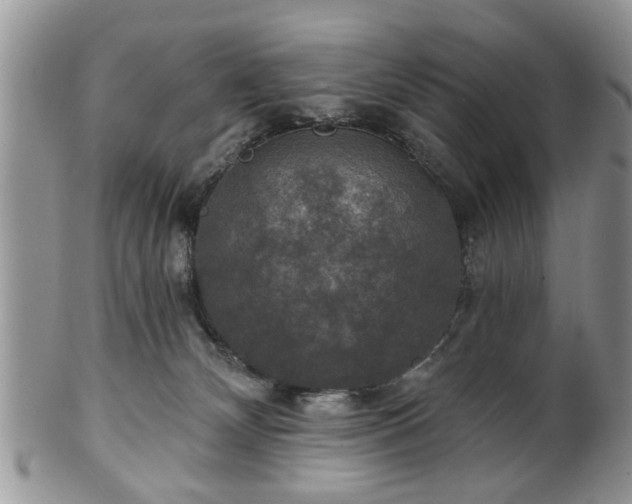 X0000101970132200807251219