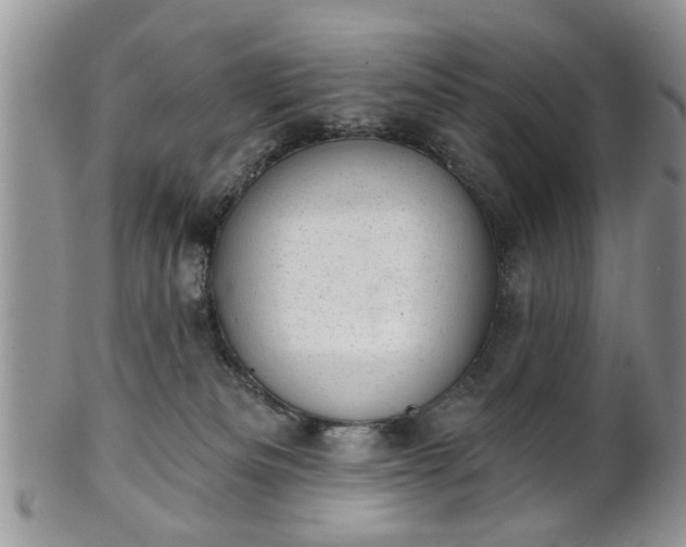 X0000101970133200807251219