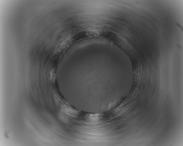 X0000101970134200807251219