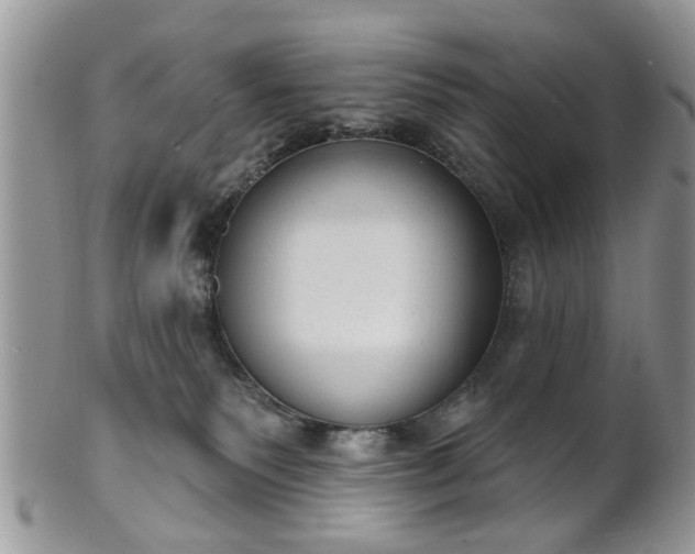 X0000101970135200807251219